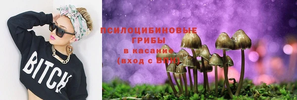 прущие крисы Армянск